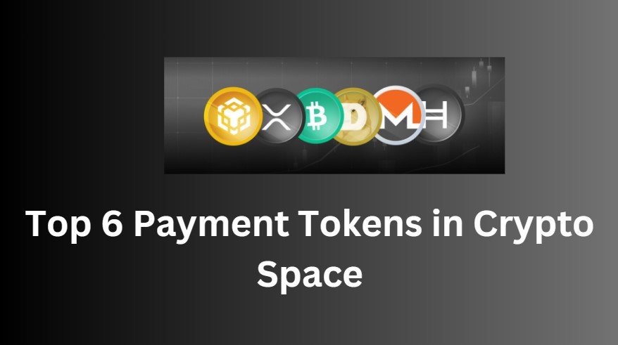 Top 6 Payment Tokens in Crypto Space